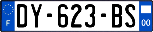 DY-623-BS
