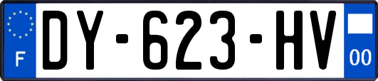 DY-623-HV