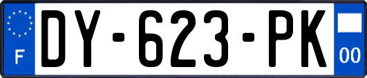 DY-623-PK