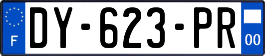 DY-623-PR