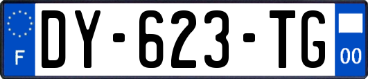 DY-623-TG