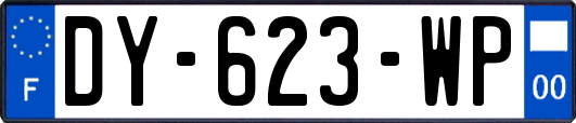 DY-623-WP