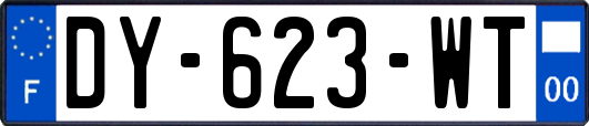 DY-623-WT