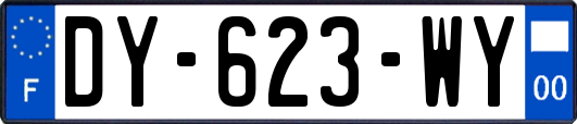 DY-623-WY