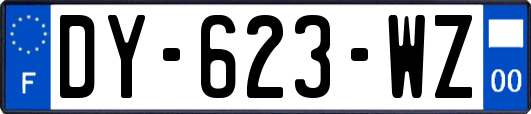 DY-623-WZ