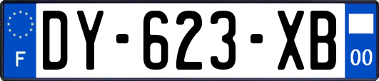 DY-623-XB