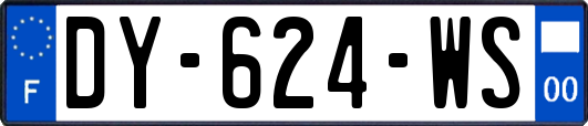 DY-624-WS