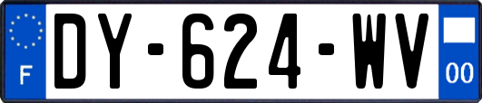 DY-624-WV