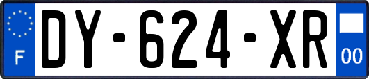 DY-624-XR