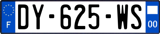 DY-625-WS