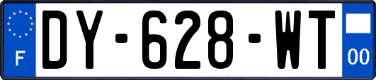 DY-628-WT