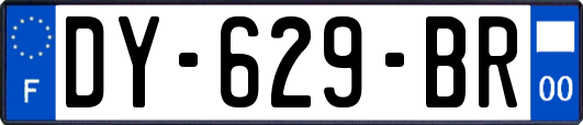 DY-629-BR