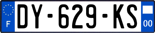 DY-629-KS