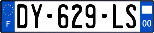 DY-629-LS