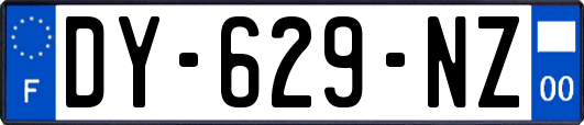 DY-629-NZ