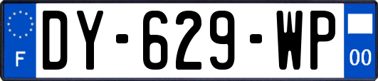 DY-629-WP