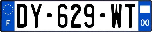 DY-629-WT