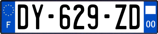 DY-629-ZD