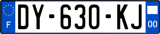 DY-630-KJ