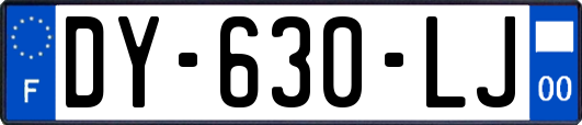 DY-630-LJ