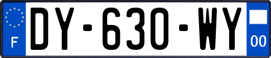 DY-630-WY