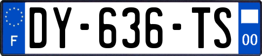 DY-636-TS