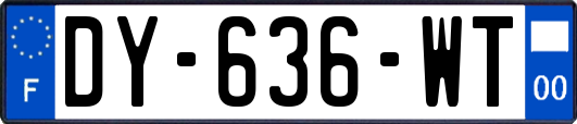 DY-636-WT