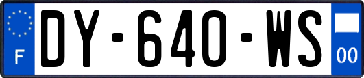 DY-640-WS