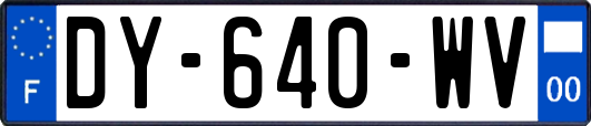 DY-640-WV