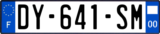 DY-641-SM