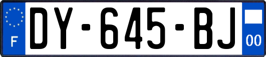 DY-645-BJ