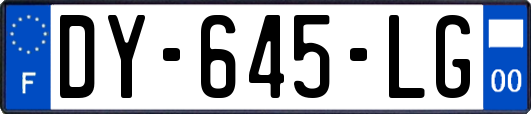 DY-645-LG