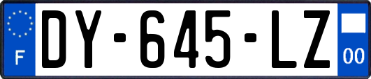 DY-645-LZ