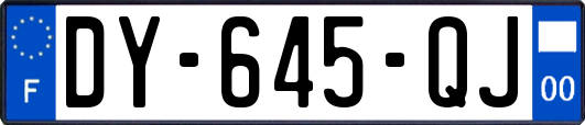 DY-645-QJ