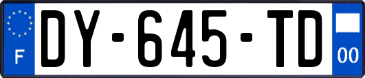 DY-645-TD