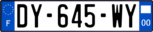 DY-645-WY