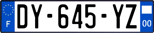 DY-645-YZ