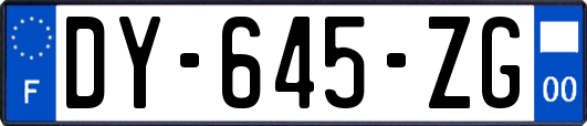 DY-645-ZG