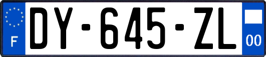 DY-645-ZL