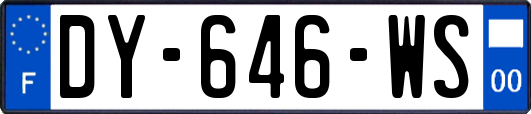 DY-646-WS