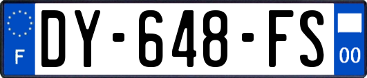 DY-648-FS