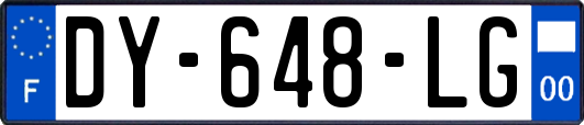 DY-648-LG