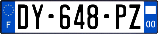 DY-648-PZ