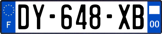 DY-648-XB