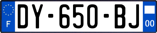DY-650-BJ
