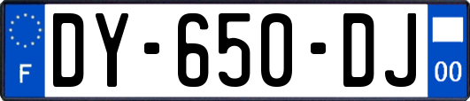 DY-650-DJ