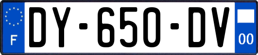 DY-650-DV