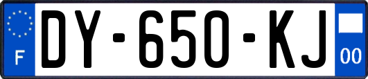 DY-650-KJ