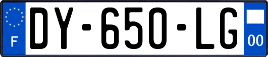 DY-650-LG