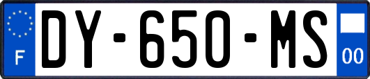 DY-650-MS